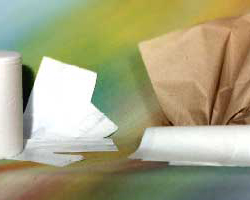 Bobina di carta 800 strappi | Carta da forno | Carta pergamino | Carta camoscina | Fogli in cellophan | Sacchetti bianchi porcellanati